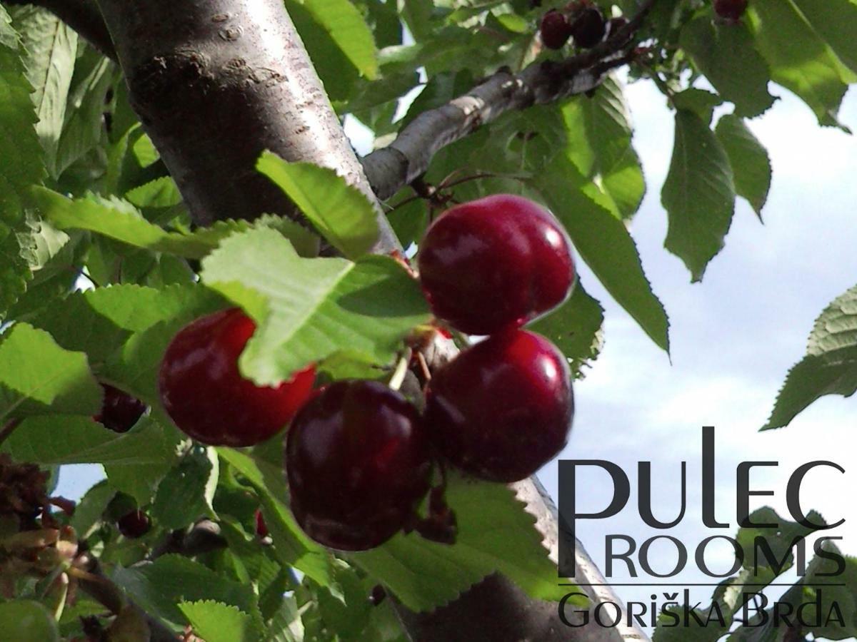 Apartma Sobe Pulec 도브로보 외부 사진